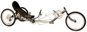 Trizard Recumbent